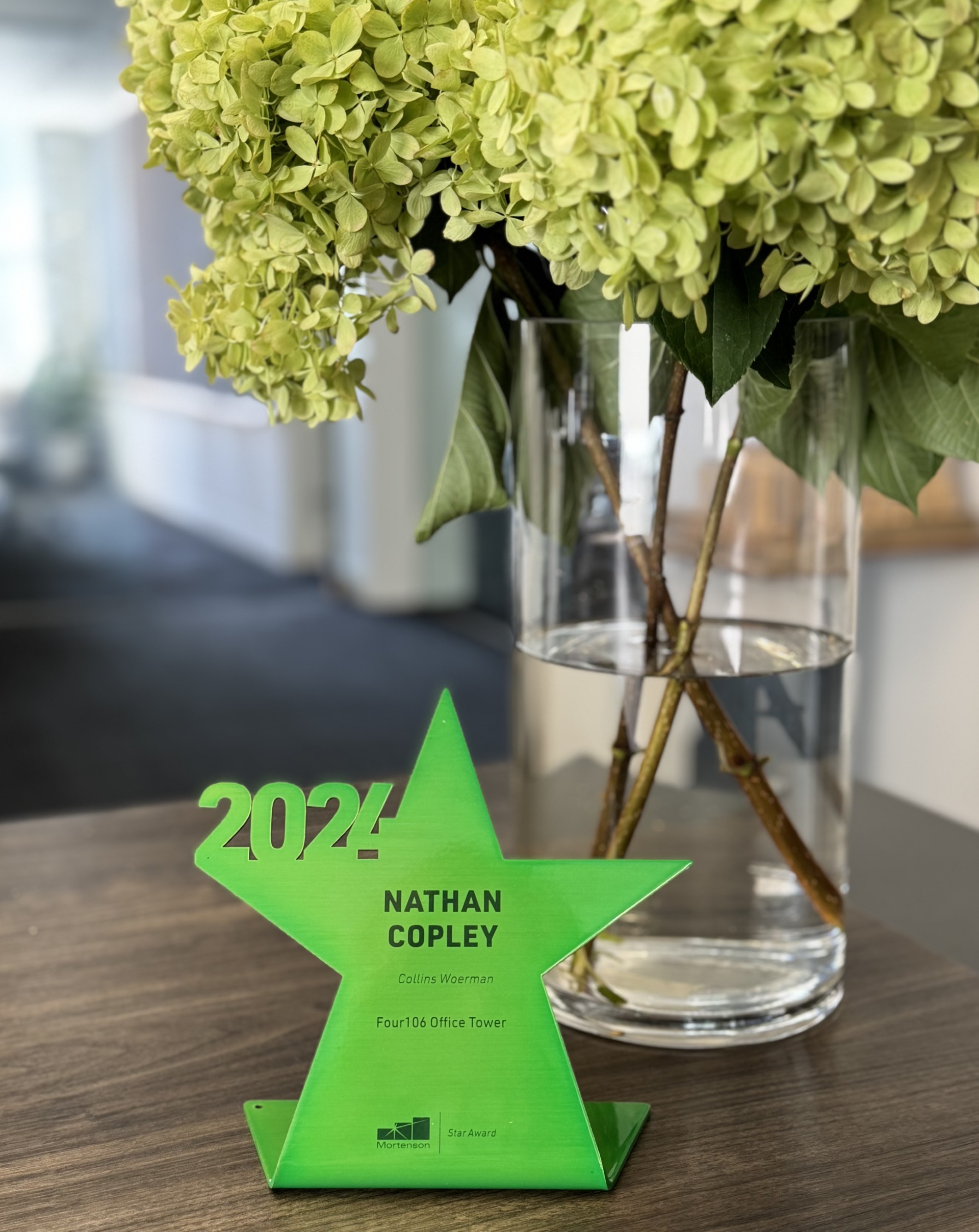 Image of award