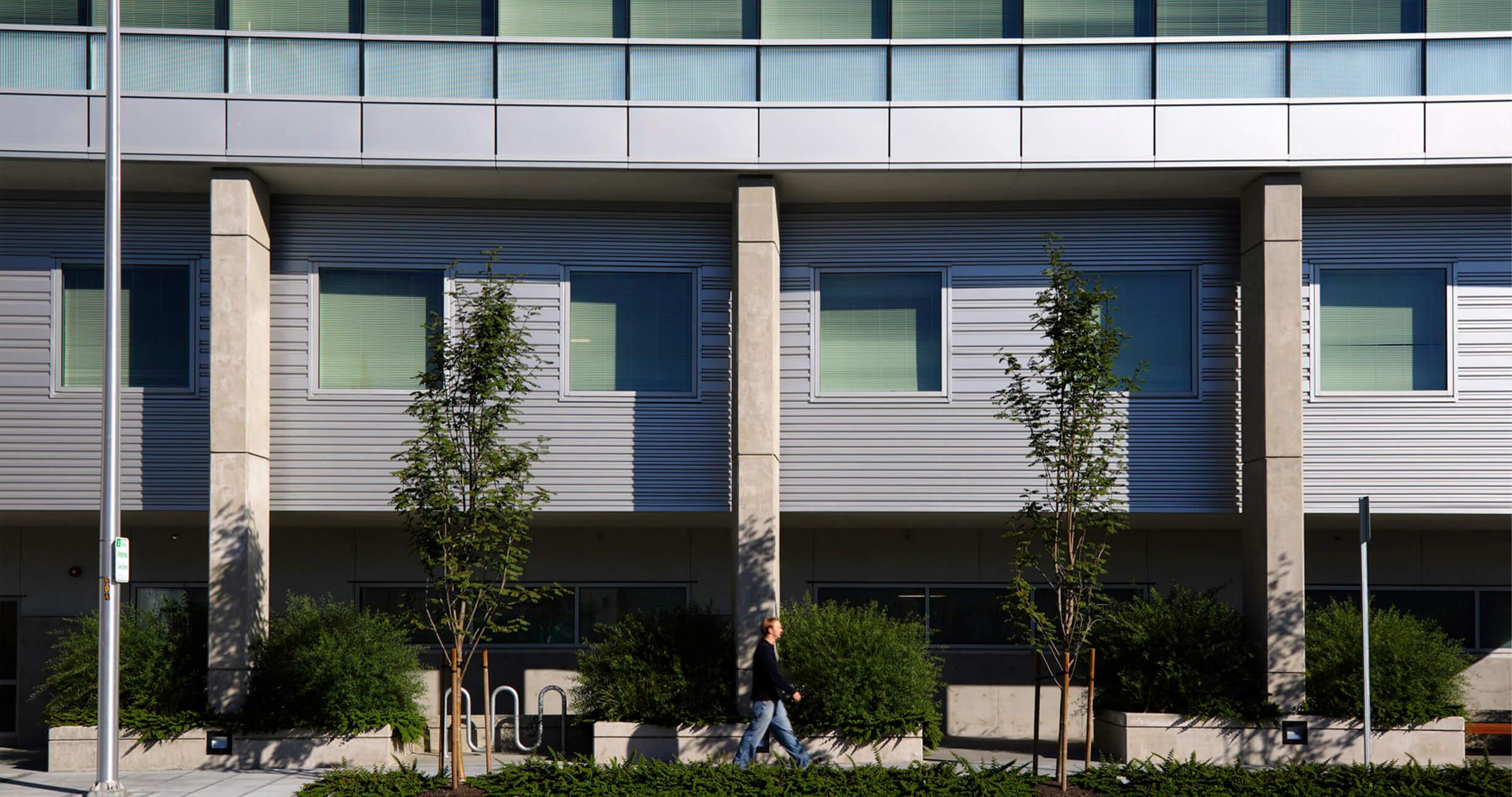 ben-hall-3