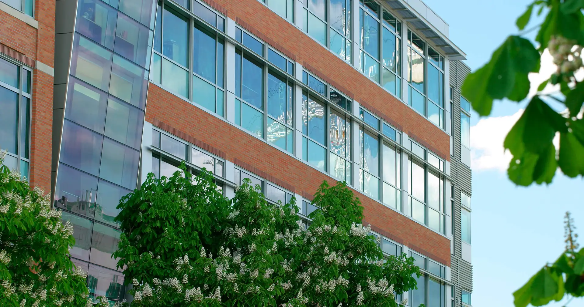 seattle biomed 4